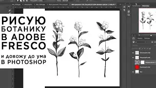Рисую ботанический скетч в Adobe Fresco на iPad Pro, небольшие хитрости и довожу до ума в Photoshop