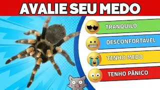 AVALIE O SEU MEDO 😱🕷👻