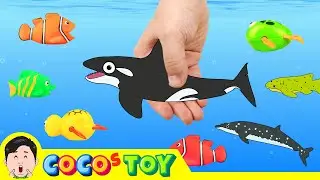 Let's catch whales and sharks in streamsㅣsea animal names and soundsㅣCoCosToy