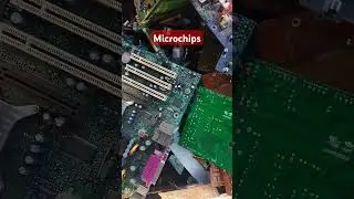 #microchips