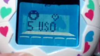 Tamagotchi Osu/Mesu: Playing the Flag Game