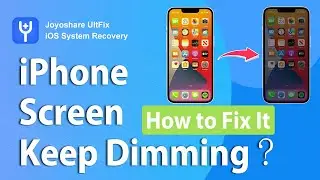 Why Does My iPhone Screen Keep Dimming and How to Fix It?