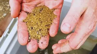The one place in the world you can find gold dust lying on the ocean floor