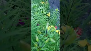 23 июня 2024 г.