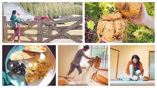 DIML: NEW HOUSE RENOVATIONS, Exploring Our New Town & Harvesting The Garden!