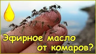 Эфирное масло гвоздика как средство от комаров