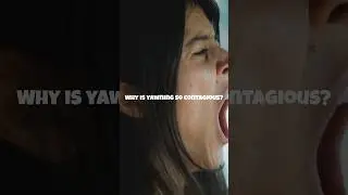 Why is Yawning So Contagious? The Surprising Truth! #shorts