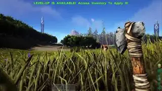 Best way to start in ARK: SURVIVAL EVOLVED