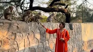 Aaj Humne Kuch Nayi Seva Start Ki 😍 Help Animals 🙏