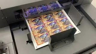 Welcome to Spellfire Re-Master The Magic printing house! 🎴