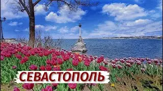 СЕВАСТОПОЛЬ. Это ФАНТАСТИКА. Как меняется город.