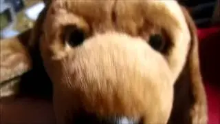 Some new webkinz and...A PACKAGE!!!!!!!!!!!