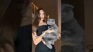 🙃 #котбарон