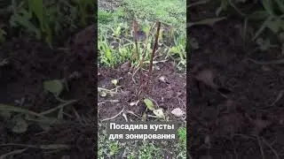 2 мая 2023 г.