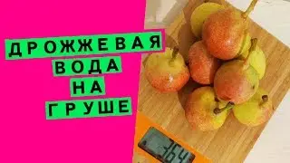 Fruit water for bread leaven: how to make a base for LEVITO MADRE