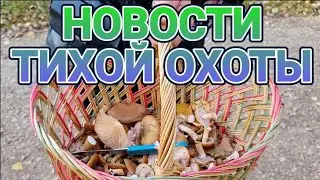 Актуальные новости тихой охоты Подмосковье