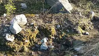 Полярный день