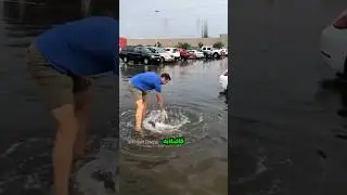 قهرمانی که لازم داشتیم 🦸 