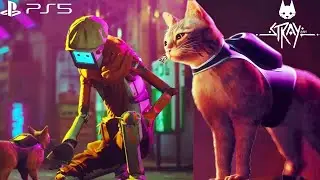 STRAY - The Final Chapter (PS5)
