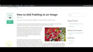 Add Padding to an image