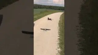 Lidl Segelflieger und Hund