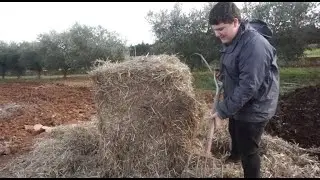 Preparamos para hacer compost 🌿🐴🍅