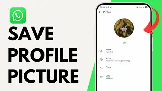 How To Save WhatsApp Profile Picture