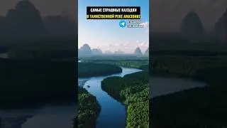 Страшные находки в реке Амазонке
