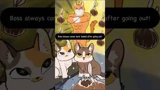 The Cat Food Code: Secrets of the Cat Boss 😼🍣 