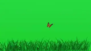 Green screen grass | green screen animation | green screen cartoon video
