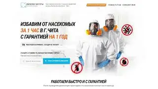 Продающий сайт для клининговой компании по дезинфекции и дезинсекции. Сайты, лендинги под ключ