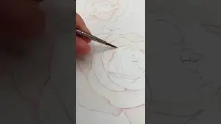 Introducing my Perfect Rose pdf. Complete with traceable line drawing! Available in my Etsy store