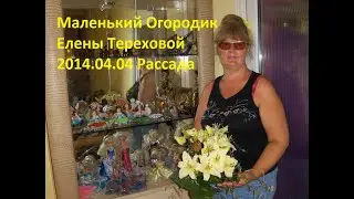 Маленький Огородик Елены Тереховой - 2014.04.04 Рассада
