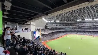 プレミア12日本代表8辰己涼介応援歌 台湾代表-日本代表 台北ドーム2024/11.16