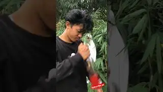 Si izul kena karma#shotrs #minivelog #bocilwargads