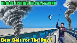 Bridge Fishing in 25+ MPH Wind in Florida Keys! Snook Tarpon Snapper