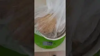 Проверила магазин 