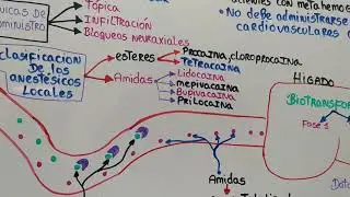 parte final de los Anestésicos locales