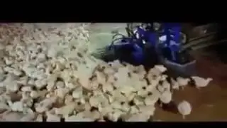 لا يفوتك الامر أغرب الإختراعات