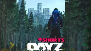 Чемпион двора | DayZ 