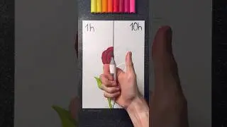 Drawing a Rose in 10hours! 🌹 || What’s your Fav?! 🤩 