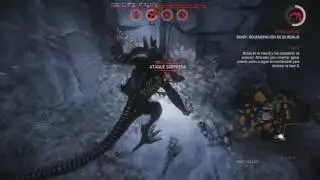 Evolve video de prueba