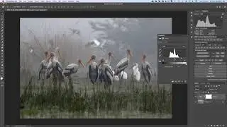 How To Rescue Contrast with Curves and Levels in Photoshop