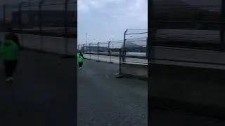 Забота о пальмах в Сочи