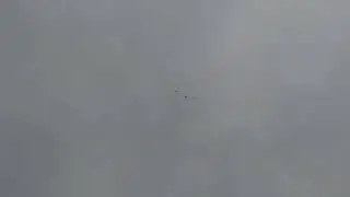 16.12.2023г.Голуби АСВ