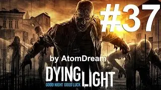 Dying Light #37 [Арена смерти или нежданный 