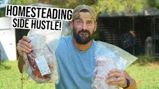 Family creates THRIVING 13-ACRE HOMESTEAD by returning to their ROOTS!