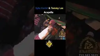Warn dem! ⚠️  Tommy lee feat Vybz kartel (freestyle)