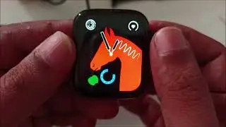 watch 8 big budget smartwatch display review