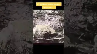 С ЭТИМ МИРОМ ЧТО ТО НЕ ТАК #shortvideo #shortsfeed #а4
